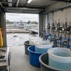 dutz wwtp dosing application cover